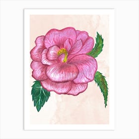 Pink Rose Art Print