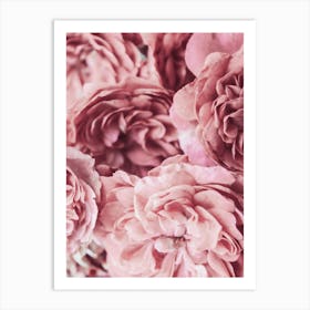 Pink Rose Petals 1 Art Print