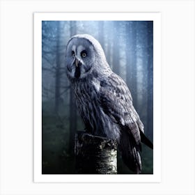 Owl In The Forest Art Print