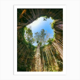 Nature wonder, cenotes of Mexico Art Print