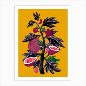 Fig Tree Art Print
