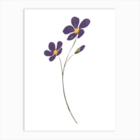 Purple Flowers 3 Art Print