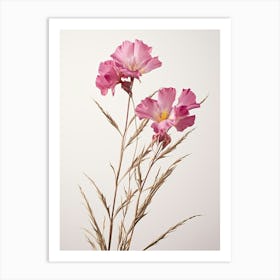 Pressed Wildflower Botanical Art Fireweed Chamerion 2 Art Print