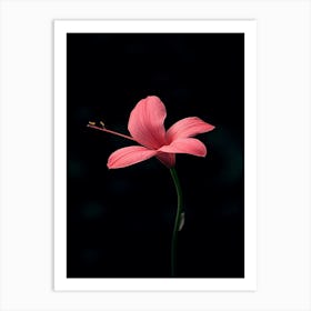 Hibiscus Flower 14 Art Print