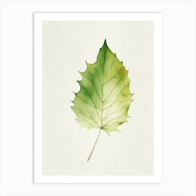 Sycamore Leaf Minimalist Watercolour 4 Art Print