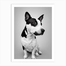 Miniature Bull Terrier B&W Pencil Dog Art Print