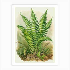 Vintage Illustration Soft Shield Fern 4 Art Print