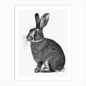 Belgian Hare Blockprint Illustration 2 Art Print