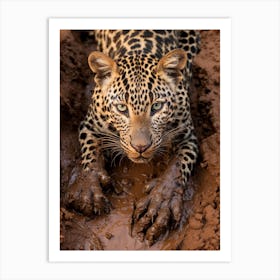 African Leopard Muddy Paws Realism 2 Art Print