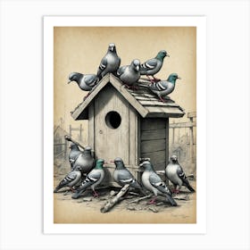 Pigeons In Birdhouse Art Print