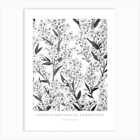 Forget Me Not B&W Vintage Botanical Poster Art Print