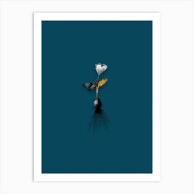 Vintage Cape Tulip Black and White Gold Leaf Floral Art on Teal Blue n.0393 Art Print