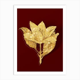 Vintage White Southern Magnolia Botanical in Gold on Red Art Print
