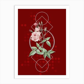 Vintage Common Rose of India Botanical with Geometric Line Motif and Dot Pattern n.0167 Art Print