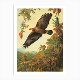 California Condor Haeckel Style Vintage Illustration Bird Art Print