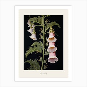 Flower Illustration Foxglove 2 Poster Art Print