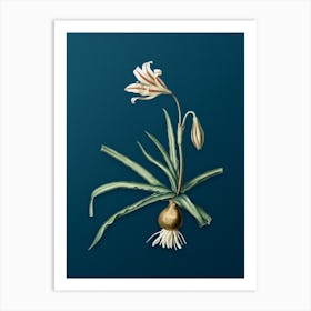 Vintage Amaryllis Broussonetii Botanical Art on Teal Blue Art Print