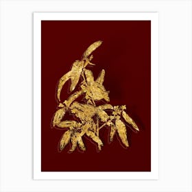 Vintage Russian Olive Botanical in Gold on Red Art Print