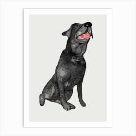 Black Labrador Art Print