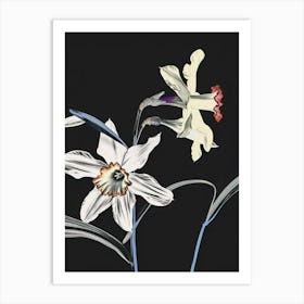 Neon Flowers On Black Daffodil 2 Art Print