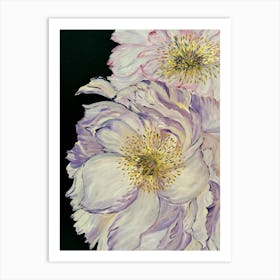 Peonies Art Print