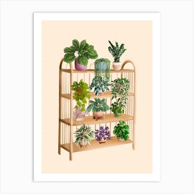 Plant Shelf 7 Art Print