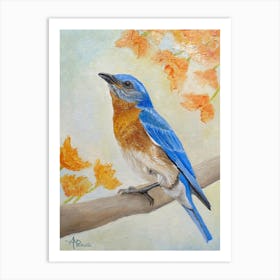 Eastern Bluebird Among Flowers Art Print