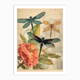 Dragonfly Vintage Species 8 Art Print