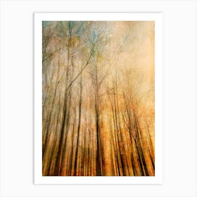 Visions Of Autumn Art Print