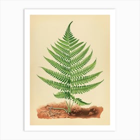 Vintage Illustration Button Fern 3 Art Print