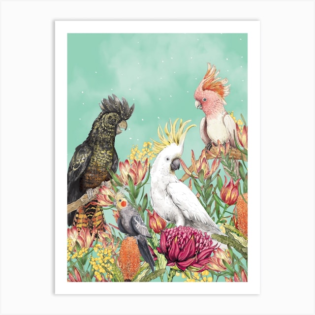 Cockatoos Of Australia Art Print by La La Land Fy