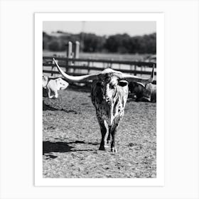 Longhorn Bull 1 Art Print