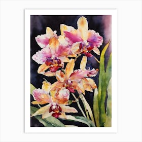 Vanilla Orchids Water Colour 1 Art Print