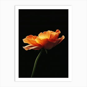 Orange Poppy 2 Art Print