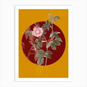 Vintage Botanical Big Flowered Dog Rose on Circle Red on Yellow n.0043 Art Print