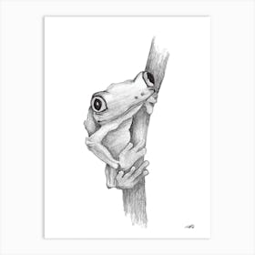 Black and White Pencil Tree Frog Art Print
