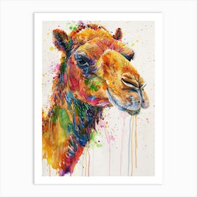 Camel Colourful Watercolour 4 Art Print