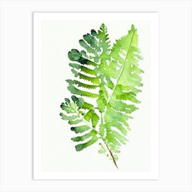 Maidenhair Fern Wildflower Watercolour 1 Art Print