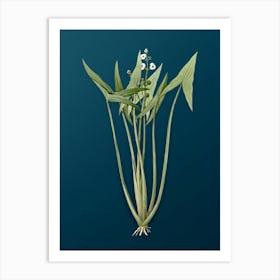 Vintage Arrowhead Botanical Art on Teal Blue n.0578 Art Print