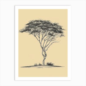 Acacia Tree Minimalistic Drawing 1 Art Print