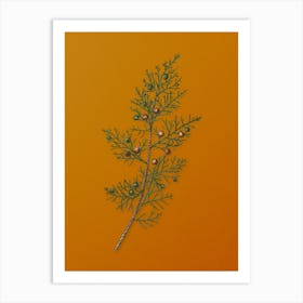 Vintage Phoenicean Juniper Botanical on Sunset Orange n.0678 Art Print