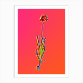 Neon Orange Ixia Botanical in Hot Pink and Electric Blue n.0550 Art Print