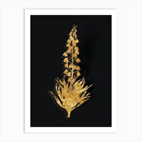 Vintage Persian Lily Botanical in Gold on Black n.0099 Art Print