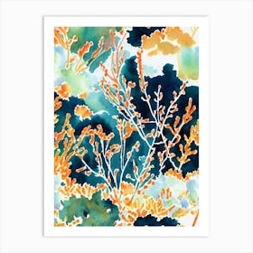 Acropora Tenuis 2 Vintage Graphic Watercolour Art Print