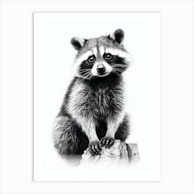 Raccoon Black And White Illustration 3 Art Print