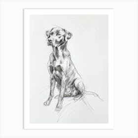 Chesapeake Bay Retriever Dog Charcoal Line 2 Art Print