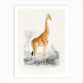 Giraffe 4 Art Print