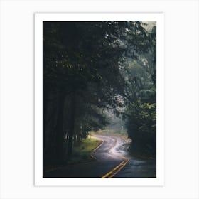 Road In The Woods Art Print