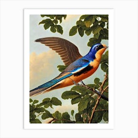 Swallow Haeckel Style Vintage Illustration Bird Art Print