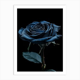 Dark Rose 83 Art Print